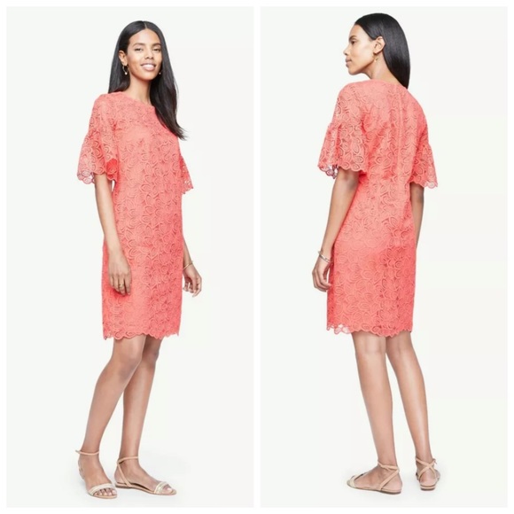 ANN TAYLOR Coral Pink Lace Ruffle Bell Sleeve Dres - Picture 2 of 14